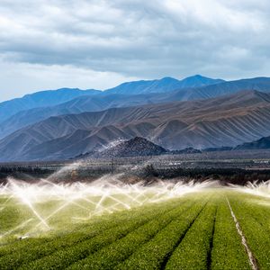 Preview wallpaper field, plants, mountains, watering