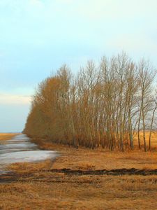 Preview wallpaper field, plowing, spring, tillage, seeding, snow, melted