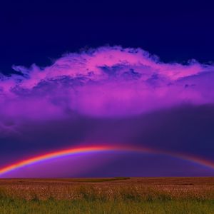 Preview wallpaper field, rainbow, clouds, nature