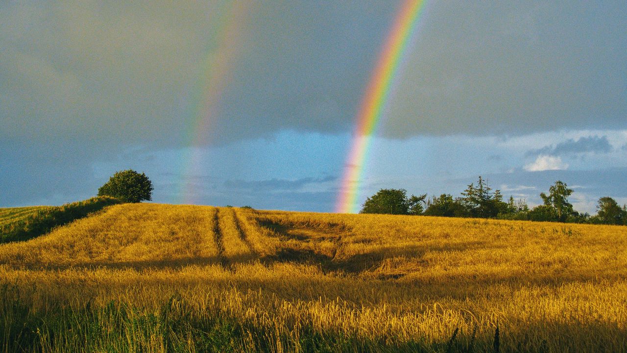 Wallpaper field, rainbow, landscape, sky, after rain