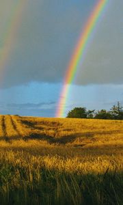 Preview wallpaper field, rainbow, landscape, sky, after rain