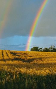 Preview wallpaper field, rainbow, landscape, sky, after rain