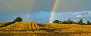 Preview wallpaper field, rainbow, landscape, sky, after rain