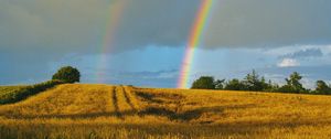 Preview wallpaper field, rainbow, landscape, sky, after rain