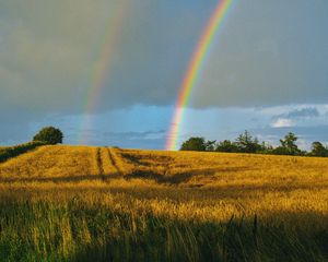 Preview wallpaper field, rainbow, landscape, sky, after rain