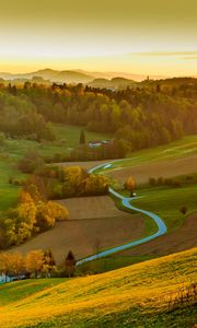 Preview wallpaper field, river, forest