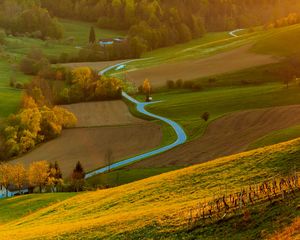 Preview wallpaper field, river, forest