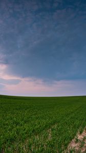 Preview wallpaper field, road, country, crops, panorama, green