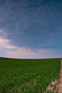 Preview wallpaper field, road, country, crops, panorama, green