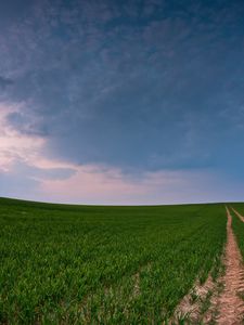 Preview wallpaper field, road, country, crops, panorama, green