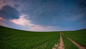 Preview wallpaper field, road, country, crops, panorama, green