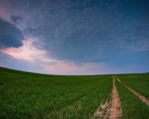 Preview wallpaper field, road, country, crops, panorama, green