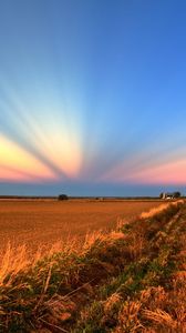 Preview wallpaper field, road, crops, agriculture, evening, decline, beams