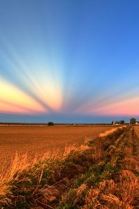 Preview wallpaper field, road, crops, agriculture, evening, decline, beams