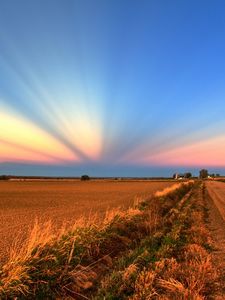 Preview wallpaper field, road, crops, agriculture, evening, decline, beams