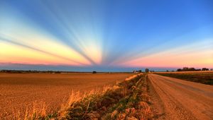 Preview wallpaper field, road, crops, agriculture, evening, decline, beams