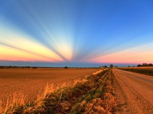 Preview wallpaper field, road, crops, agriculture, evening, decline, beams