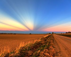 Preview wallpaper field, road, crops, agriculture, evening, decline, beams