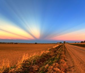 Preview wallpaper field, road, crops, agriculture, evening, decline, beams