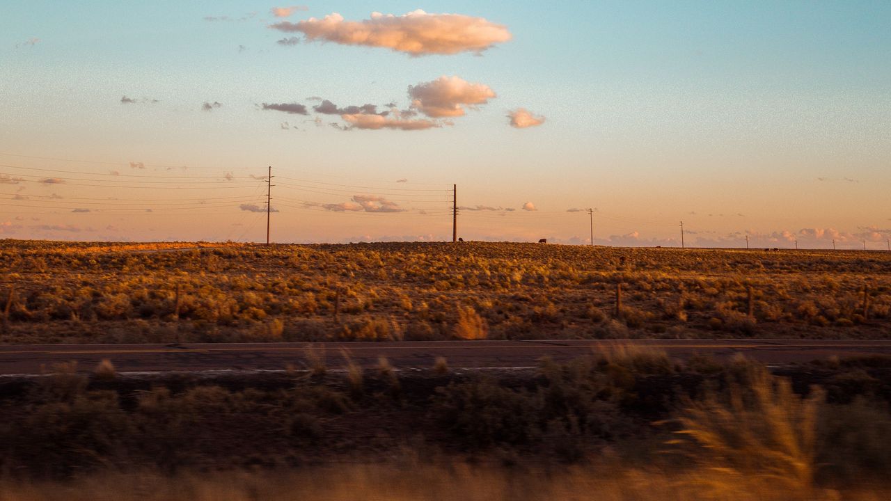 Wallpaper field, road, curb, journey, evening