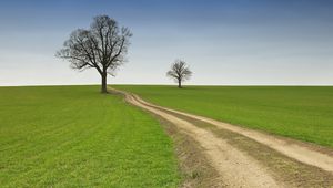 Preview wallpaper field, road, dirt, summer, trees, emptiness