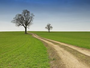 Preview wallpaper field, road, dirt, summer, trees, emptiness