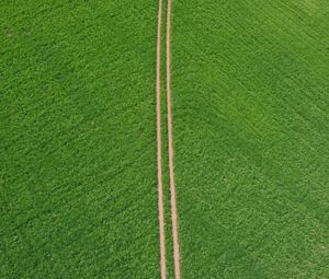 Preview wallpaper field, road, green, aerial view