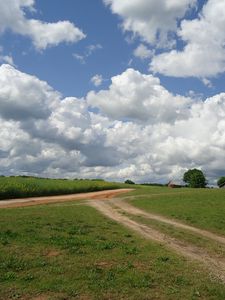 Preview wallpaper field, road, home, landscape