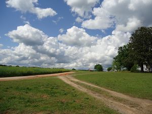 Preview wallpaper field, road, home, landscape