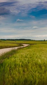 Preview wallpaper field, road, nature, summer