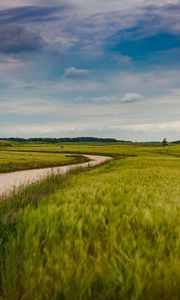 Preview wallpaper field, road, nature, summer