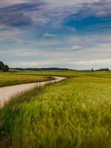 Preview wallpaper field, road, nature, summer