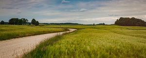 Preview wallpaper field, road, nature, summer