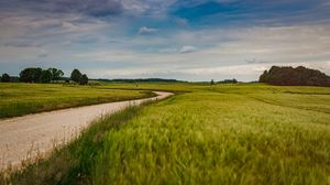 Preview wallpaper field, road, nature, summer