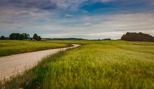 Preview wallpaper field, road, nature, summer