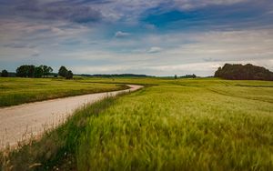 Preview wallpaper field, road, nature, summer