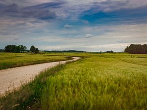 Preview wallpaper field, road, nature, summer