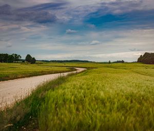 Preview wallpaper field, road, nature, summer