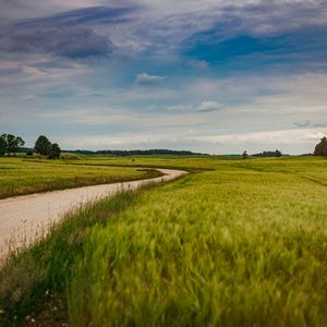 Preview wallpaper field, road, nature, summer