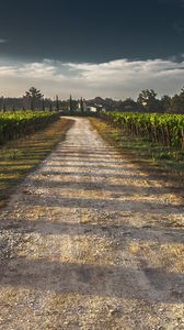 Preview wallpaper field, road, shadow, sky