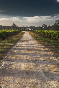 Preview wallpaper field, road, shadow, sky