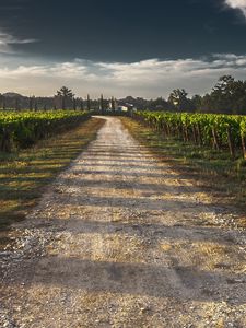 Preview wallpaper field, road, shadow, sky