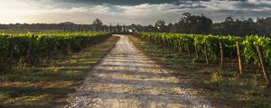 Preview wallpaper field, road, shadow, sky