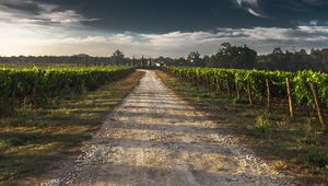 Preview wallpaper field, road, shadow, sky