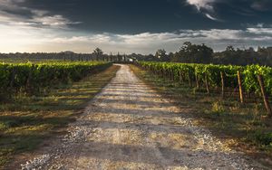 Preview wallpaper field, road, shadow, sky