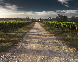 Preview wallpaper field, road, shadow, sky