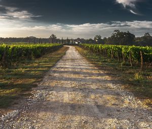 Preview wallpaper field, road, shadow, sky