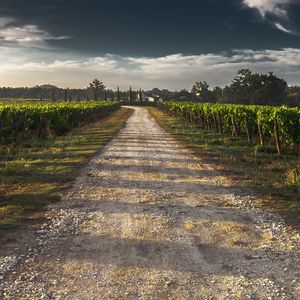 Preview wallpaper field, road, shadow, sky