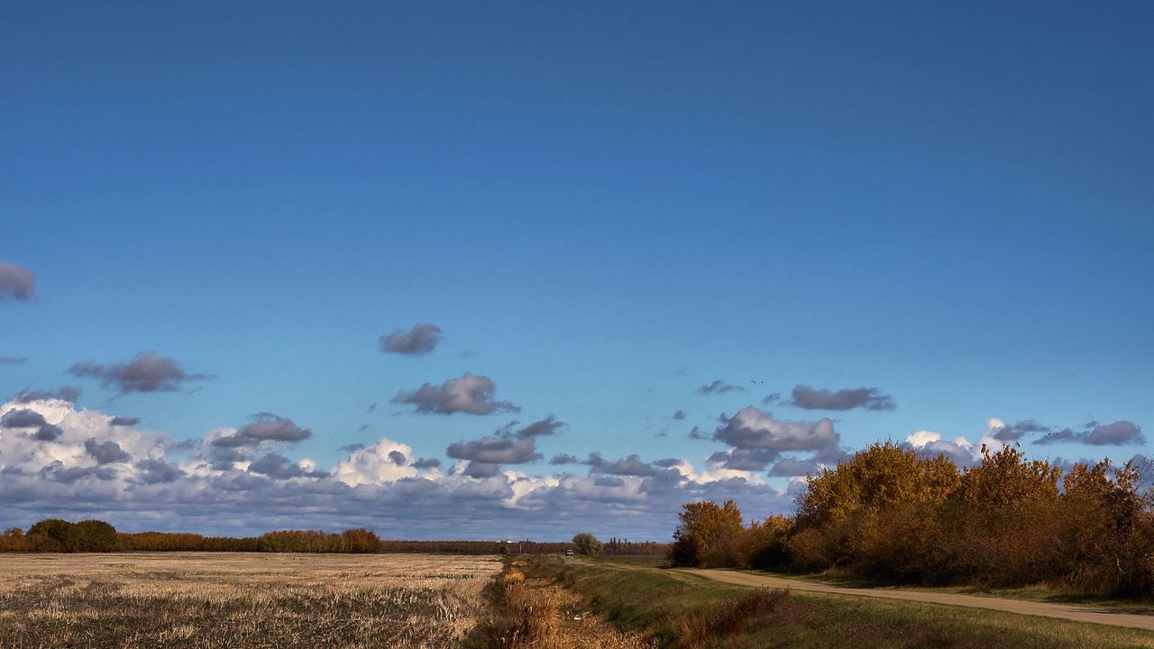 Wallpaper field, road, trees, clouds, agriculture, autumn