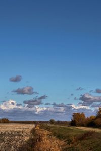 Preview wallpaper field, road, trees, clouds, agriculture, autumn